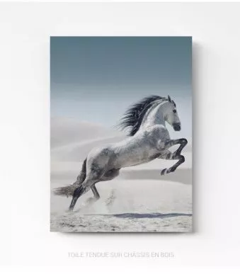 Tableau Photo Cheval sur toile