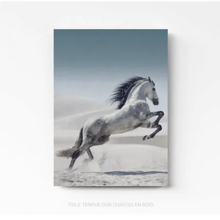 Tableau Photo Cheval sur toile