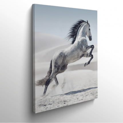 tableau-frame-photo-cadre-design-photo-cheval
