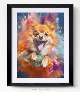 portrait chien spitz nain dog tableau photo home deco decoration murale cadre photo affiche poster