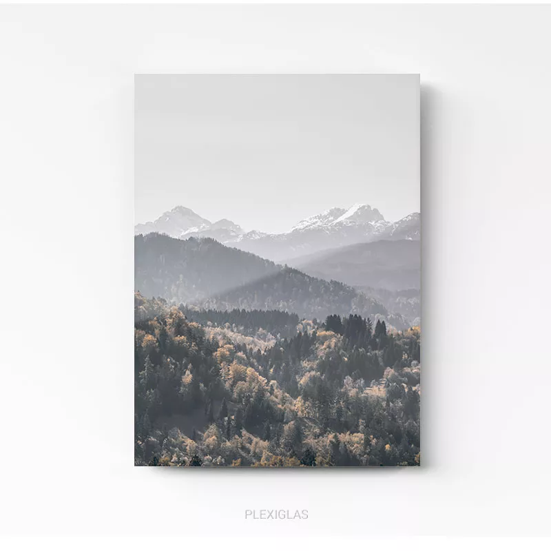 montagnes foret nature mountain forest tableau photo home deco decoration murale cadre photo affiche poster