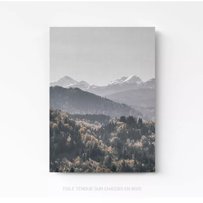 montagnes foret nature mountain forest tableau photo home deco decoration murale cadre photo affiche poster