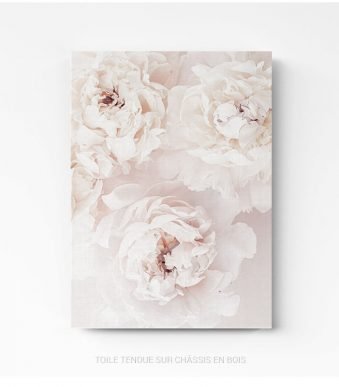 pivoines fleurs nature photo art home deco décoration murale cadre photo Affiche Poster portrait