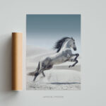 Tableau Photo Cheval Affiche Poster