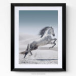 Tableau Photo Cheval cadre photo