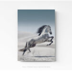 Tableau Photo Cheval sur toile
