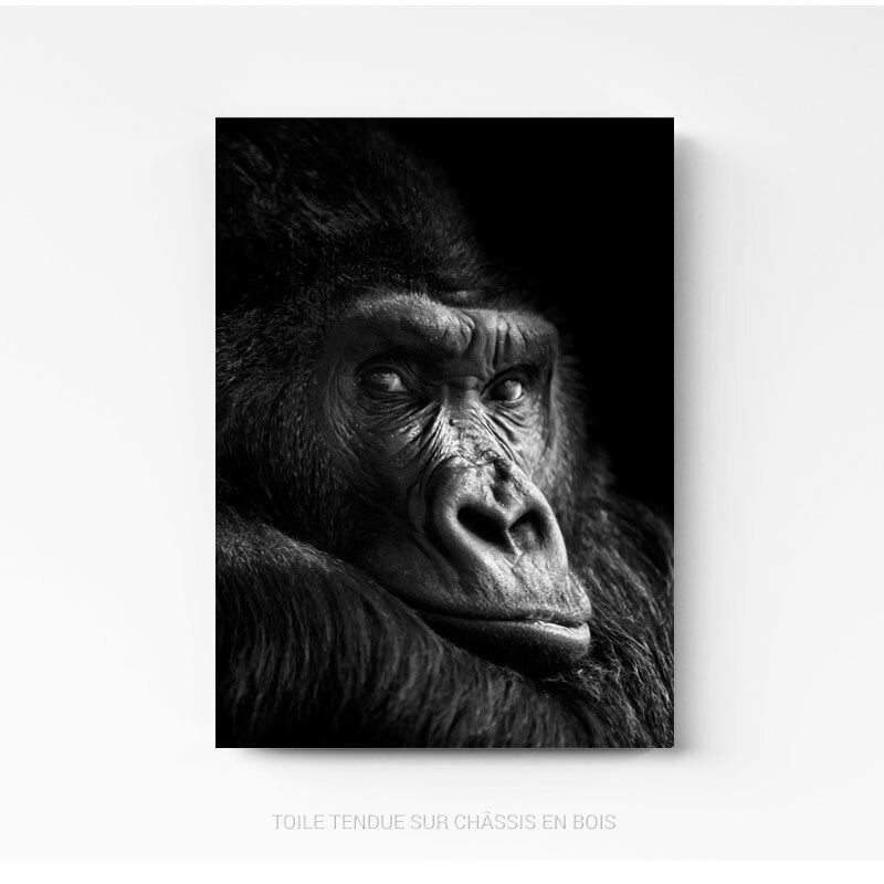 Tableau Photo Gorille Noir et Blanc sur toile