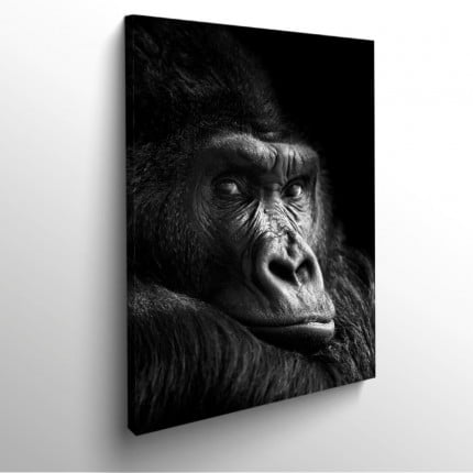 tableau-frame-photo-cadre-design-photo-gorille