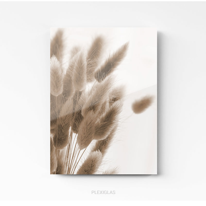 pampas nature Scandinavian minimaliste tableau photo home deco decoration murale cadre photo affiche poster